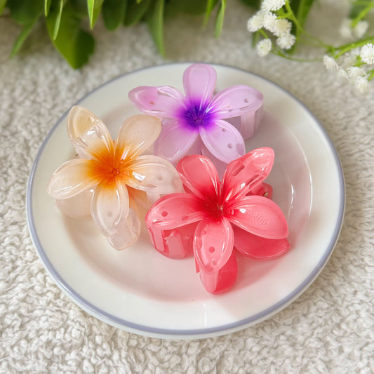 Wild Tropical Claws - Pack of 3