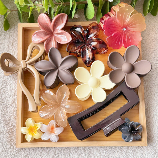 Claw Vault 12 Pieces - complete claw clip collection in cappuccino or fruity palette Pakistan
