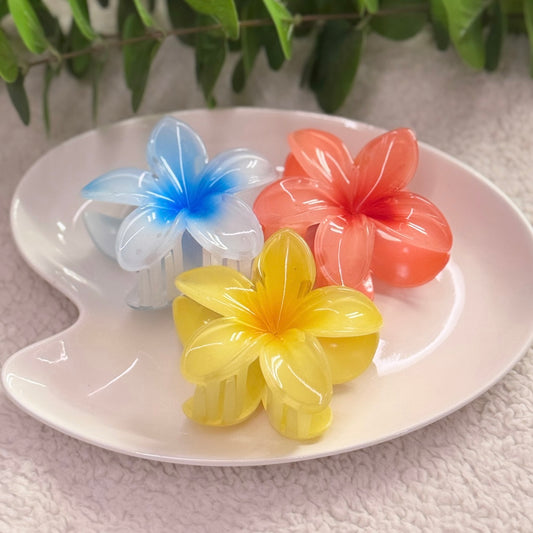 Pack Of 3 Tropical Flower Hair Clips