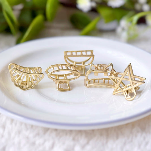 Golden Mini Clip Set - Pack of Five